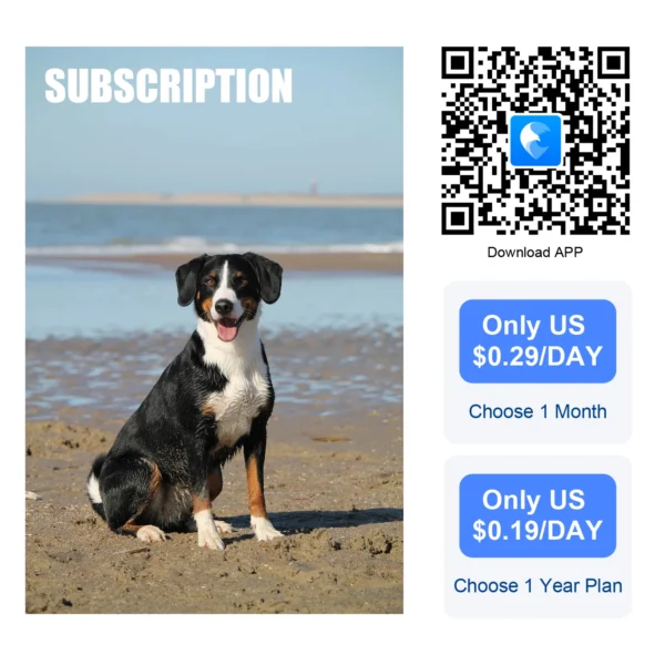 Global Pet Tracker 30 Seconds Positioning Waterproof with APP for Tracking Dogs and Cats Low Service Fee - Image 6