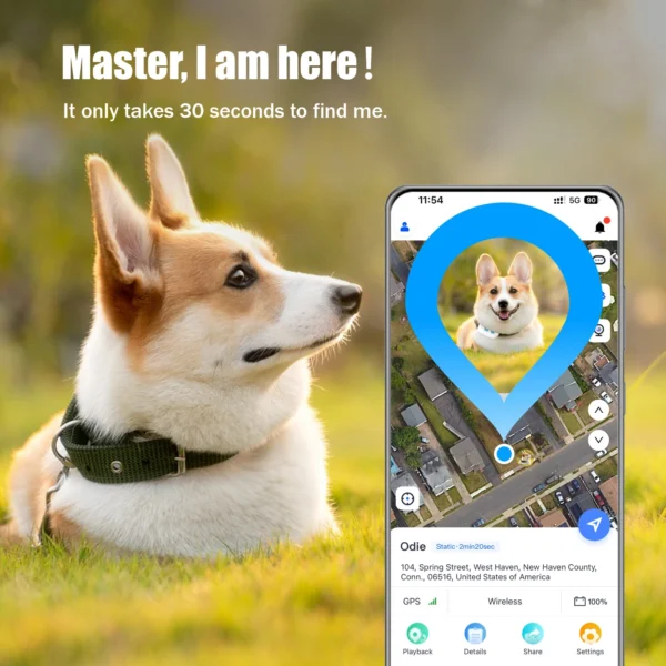 Global Pet Tracker 30 Seconds Positioning Waterproof with APP for Tracking Dogs and Cats Low Service Fee - Image 2