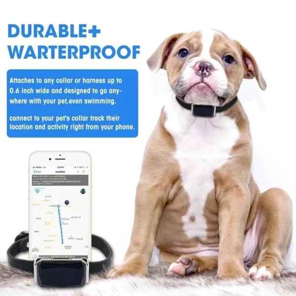 Waterproof Anti-lost GPS Pet Collar - Image 6