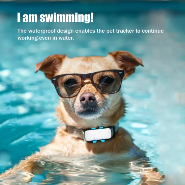 Global Pet Tracker 30 Seconds Positioning Waterproof with APP for Tracking Dogs and Cats Low Service Fee - Image 4