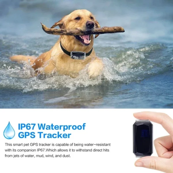 Waterproof Anti-lost GPS Pet Collar - Image 4