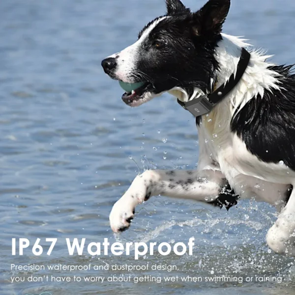 4G GPS Pet Tracker for Dogs Cats Waterproof GPS WIFI Location & Smart Activity Tracker Fashionable neck collar for iOS Android - Image 6