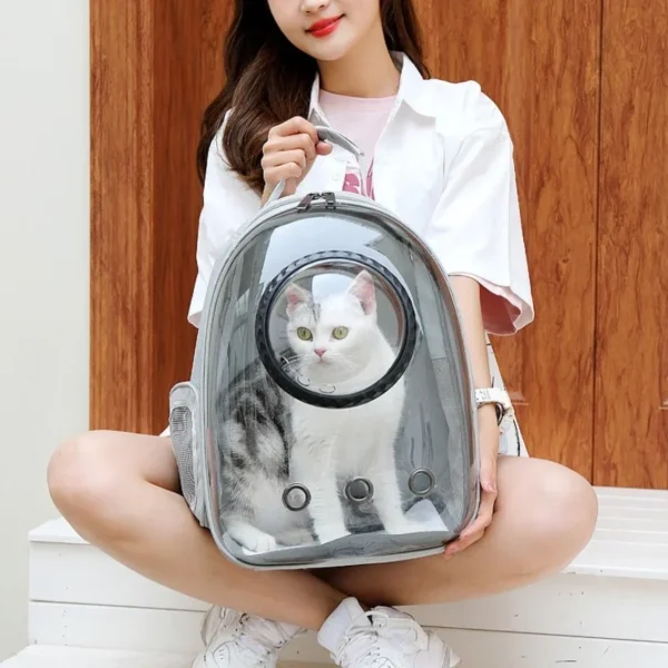 Luxury Cat Space Capsule Transparent Backpack