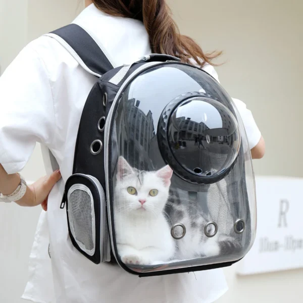 Luxury Cat Space Capsule Transparent Backpack - Image 2