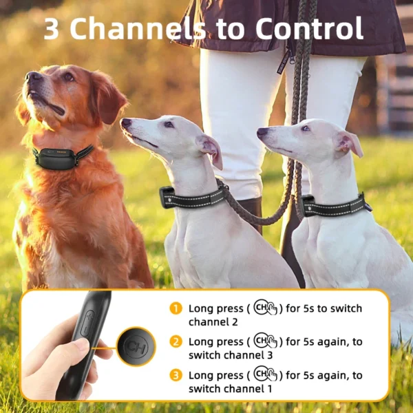 Pet Dog Supplies Collar Bark Stop - Image 6